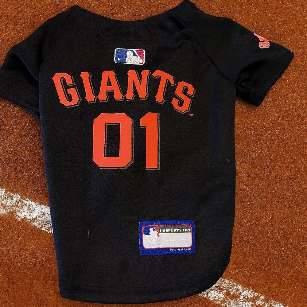 Dog Clothes-1 Giants Jersey, 1 -Raiders Cheerleader and 1 Warriors (S,M,S)